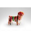 OTTO- BULLDOG MEDIANO COLORES